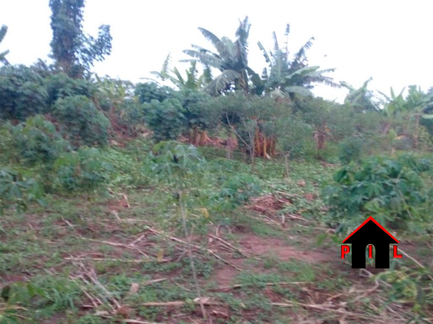 Agricultural Land for sale in Kiwanula Luweero