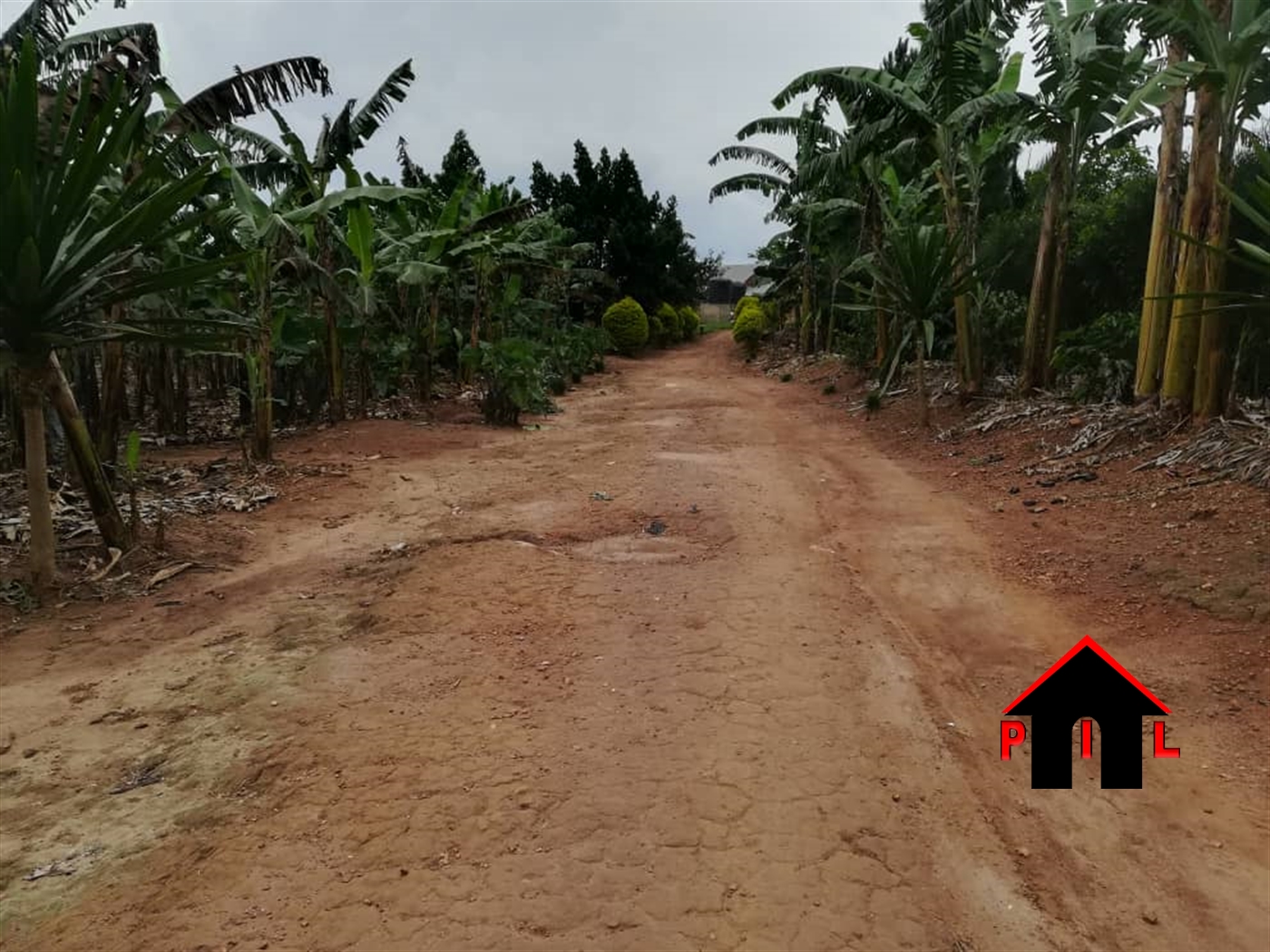 Agricultural Land for sale in Bukeelele Mukono