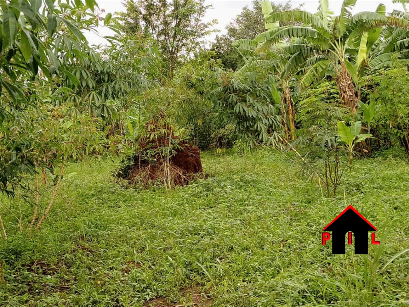 Agricultural Land for sale in Nyenje Mukono