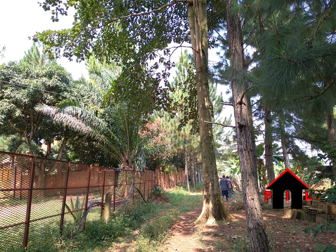 Agricultural Land for sale in Namayiba Mukono