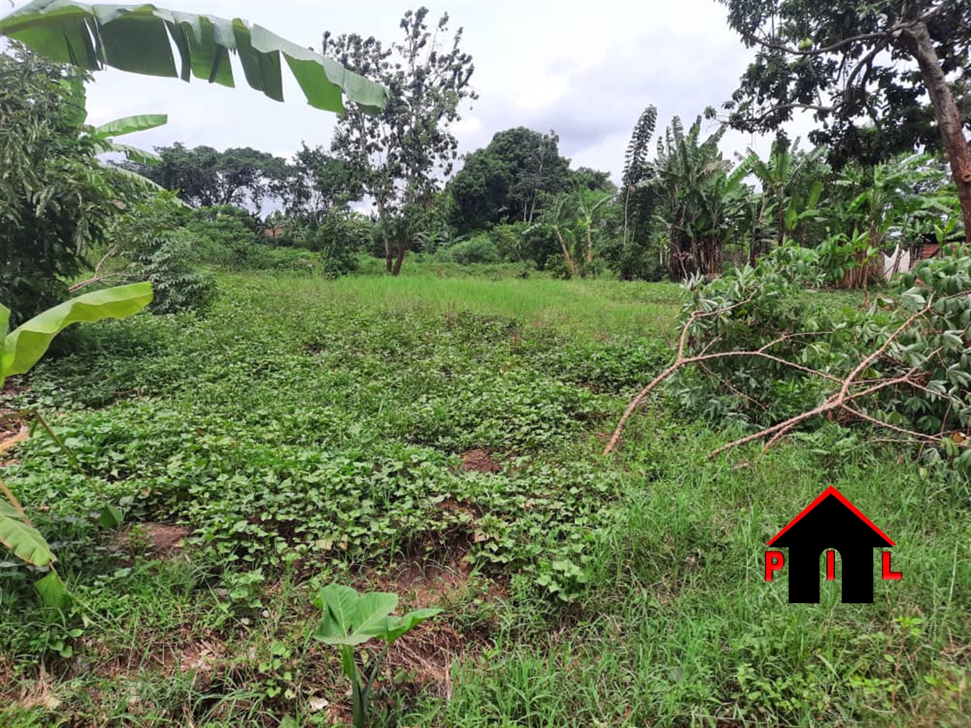 Agricultural Land for sale in Naggalama Wakiso