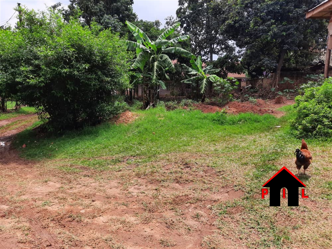 Agricultural Land for sale in Naggalama Wakiso