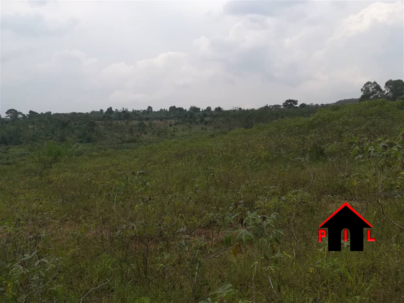 Residential Land for sale in Namilyango Mukono