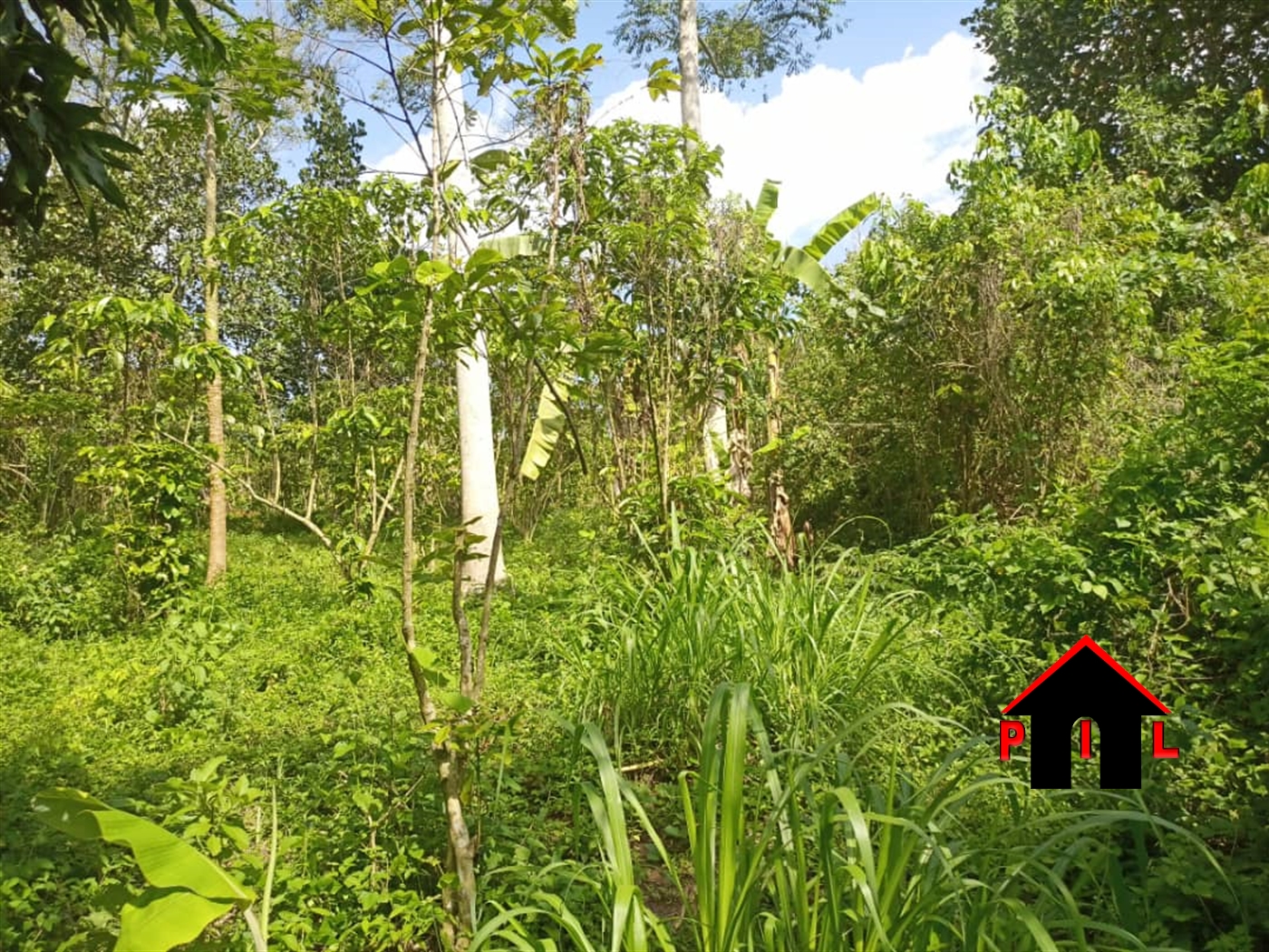 Agricultural Land for sale in Sonde Mukono