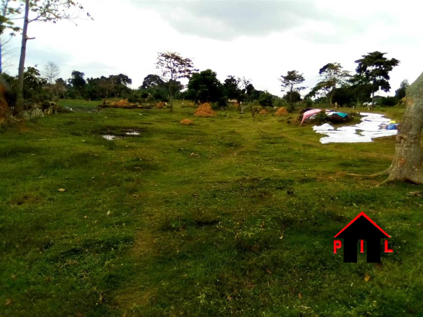 Agricultural Land for sale in Sonde Mukono