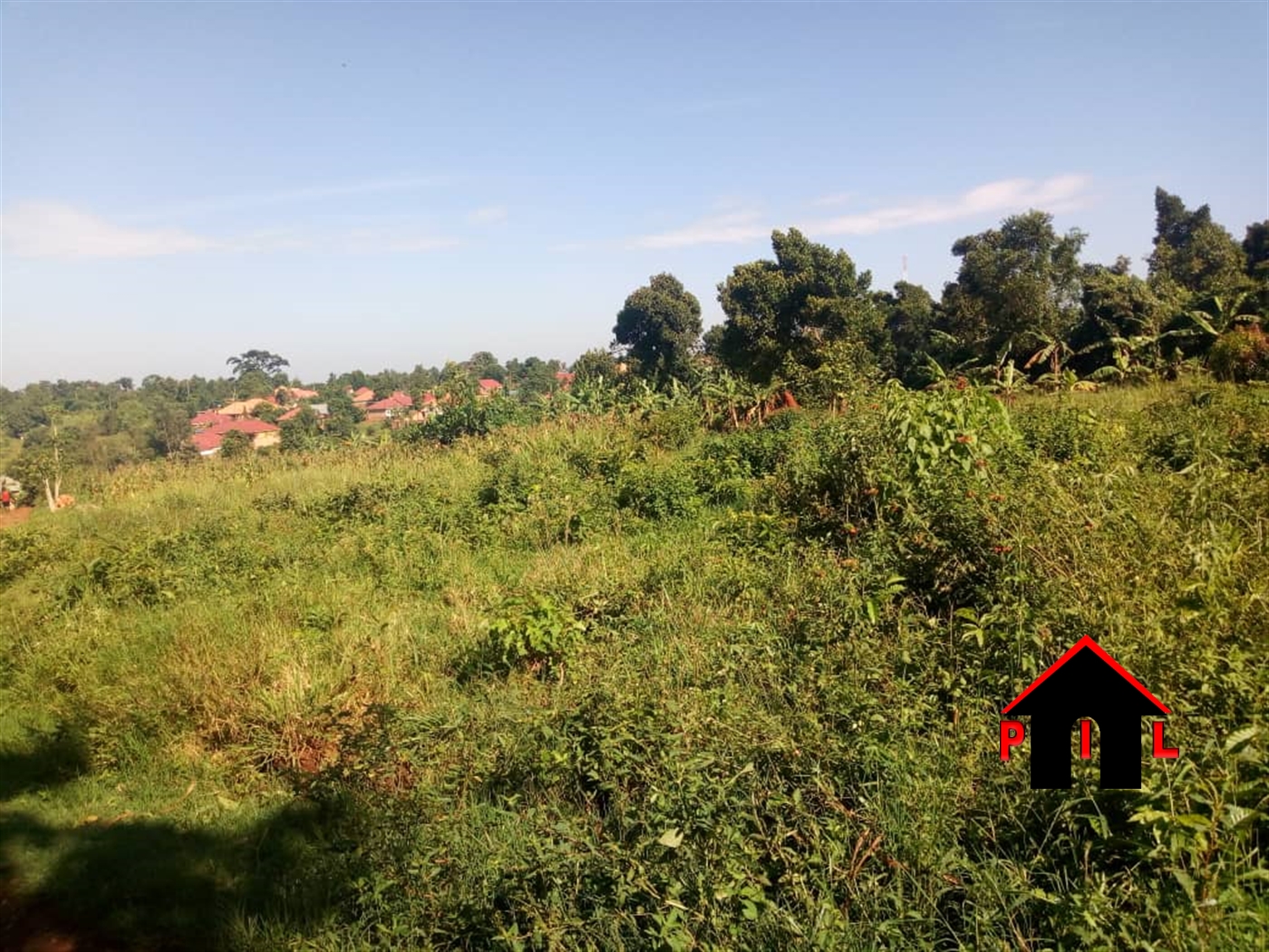 Agricultural Land for sale in Mitiyana Mityana