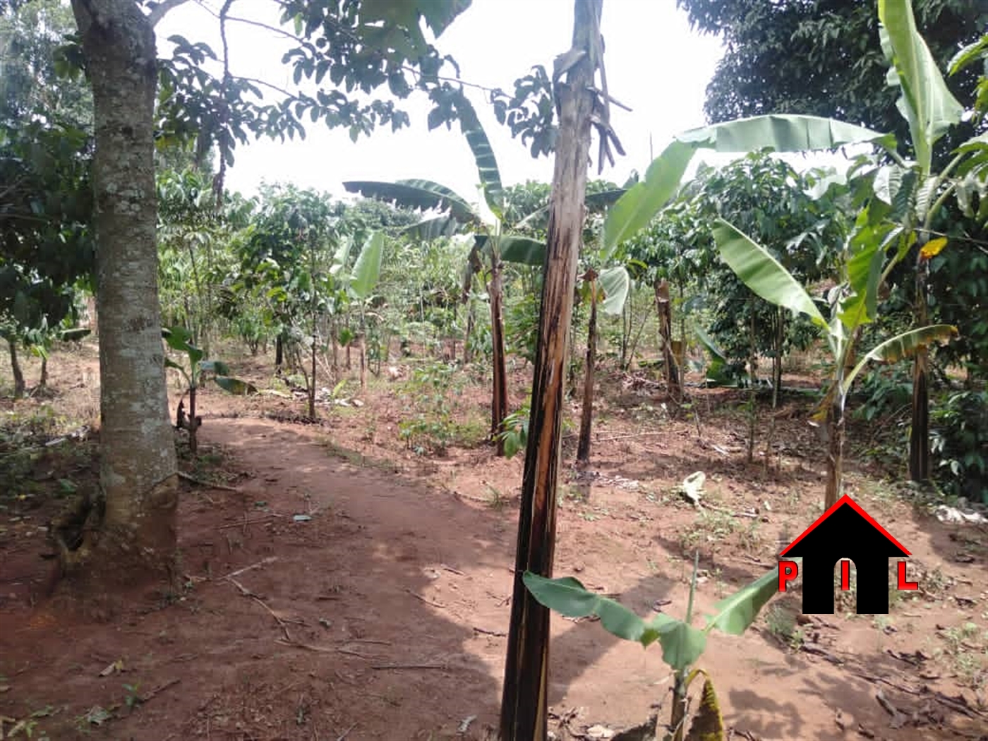 Agricultural Land for sale in Mubende Mubende