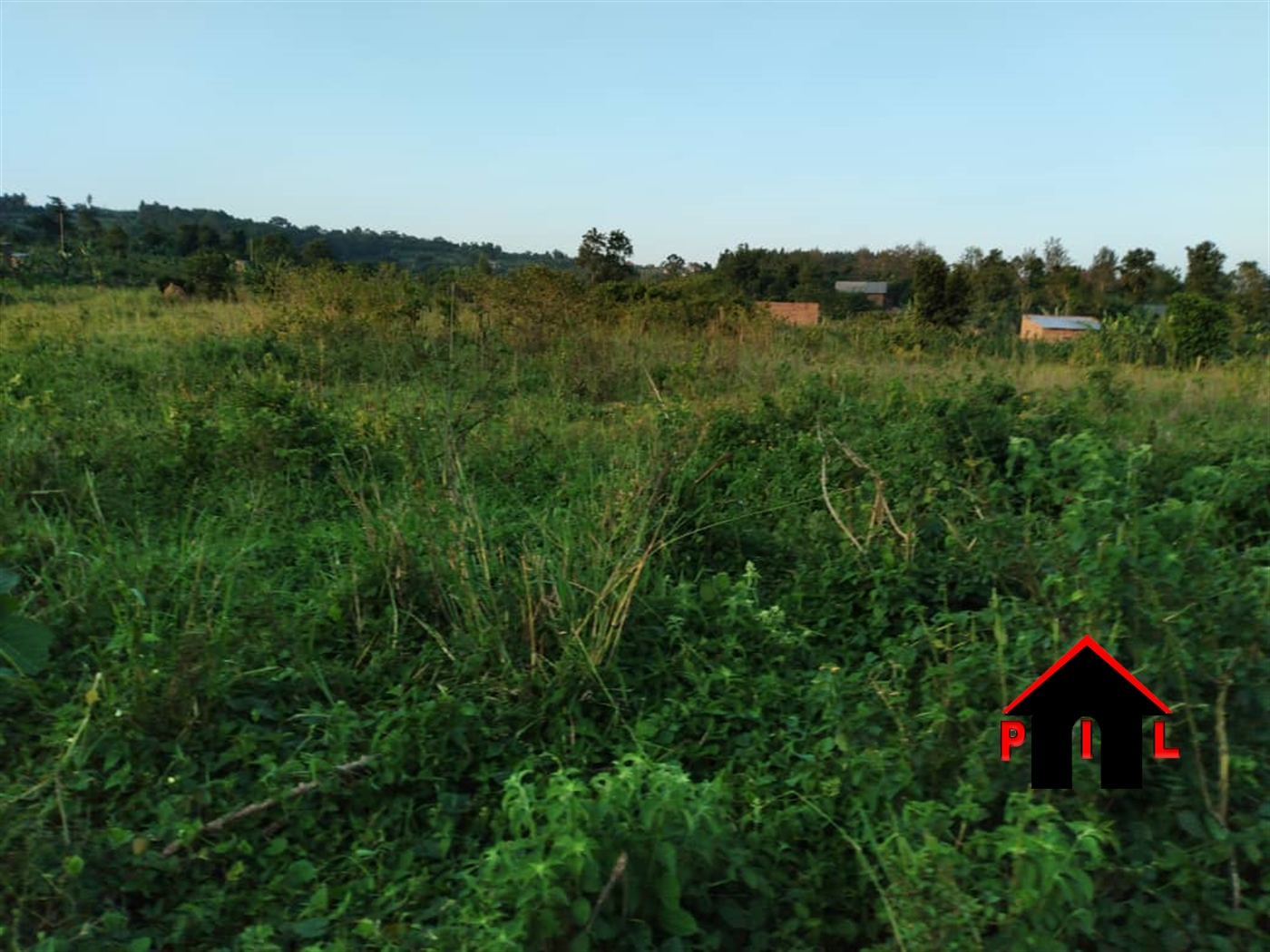 Agricultural Land for sale in Kiwenda Wakiso