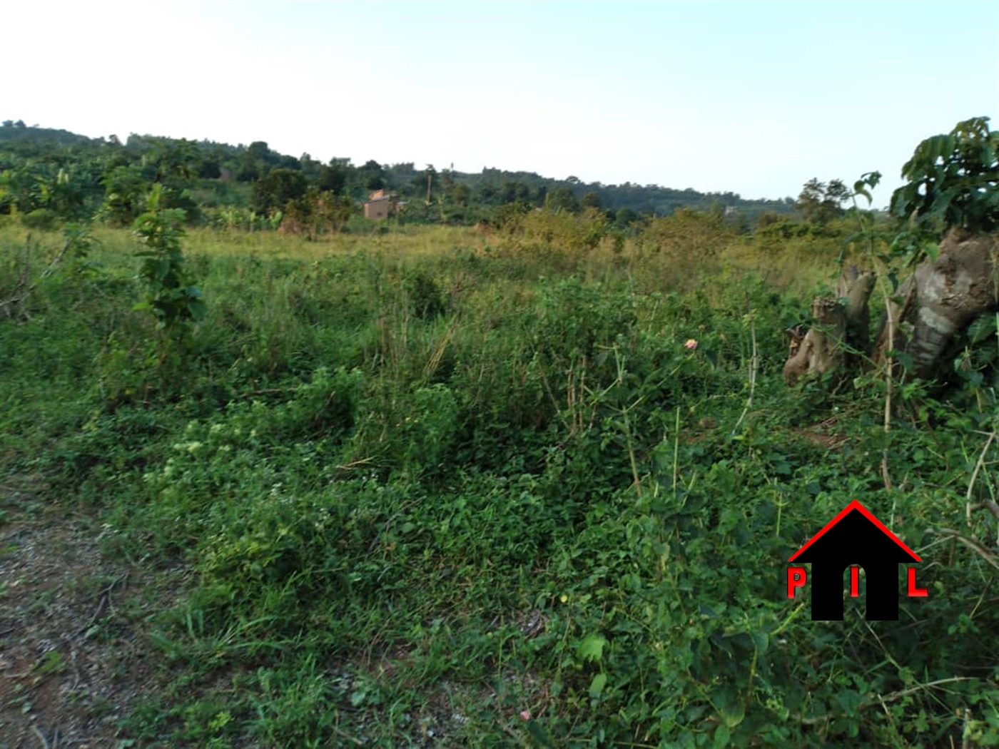 Agricultural Land for sale in Kiwenda Wakiso