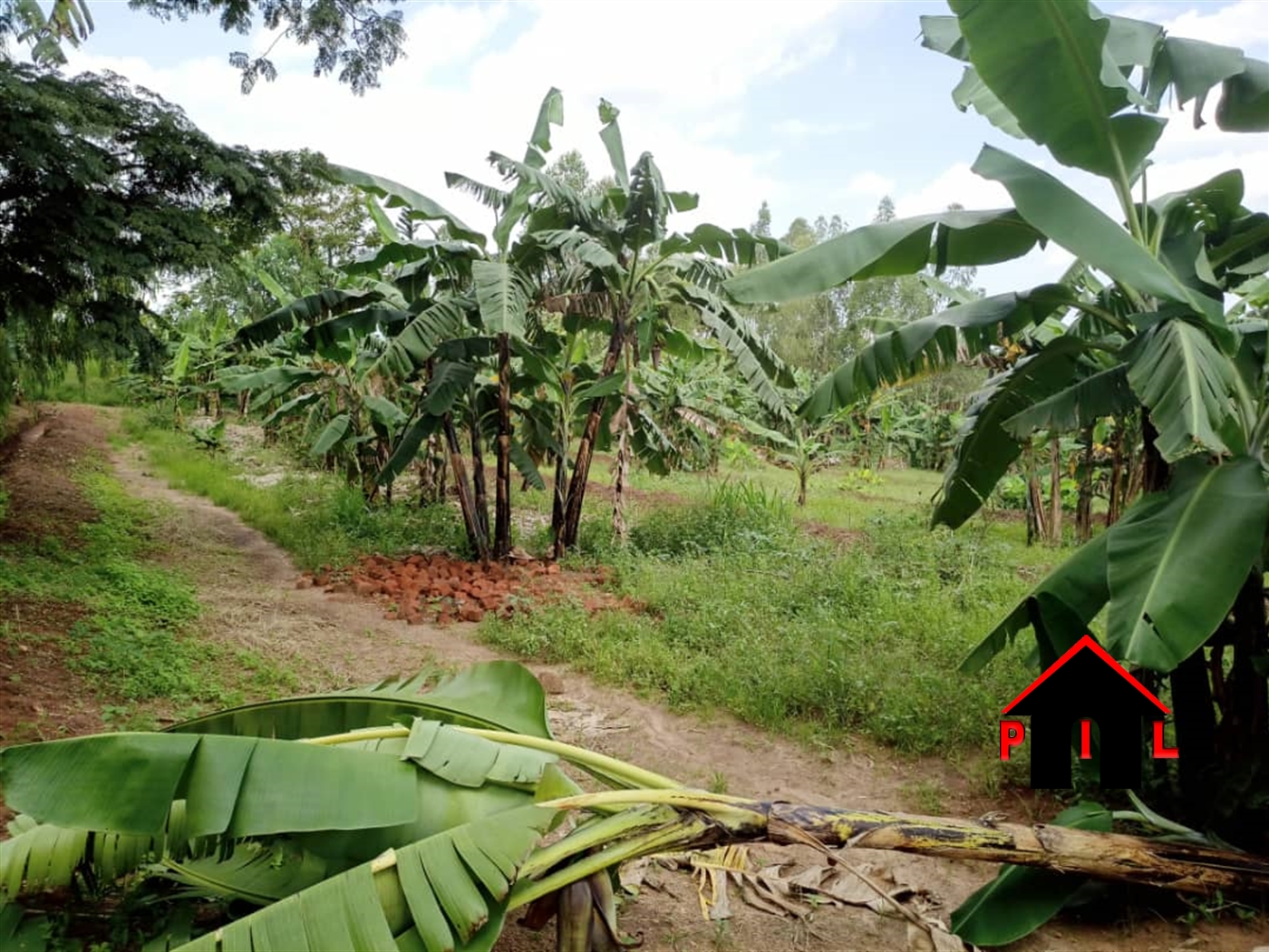 Agricultural Land for sale in Ssekanyonyi Gomba
