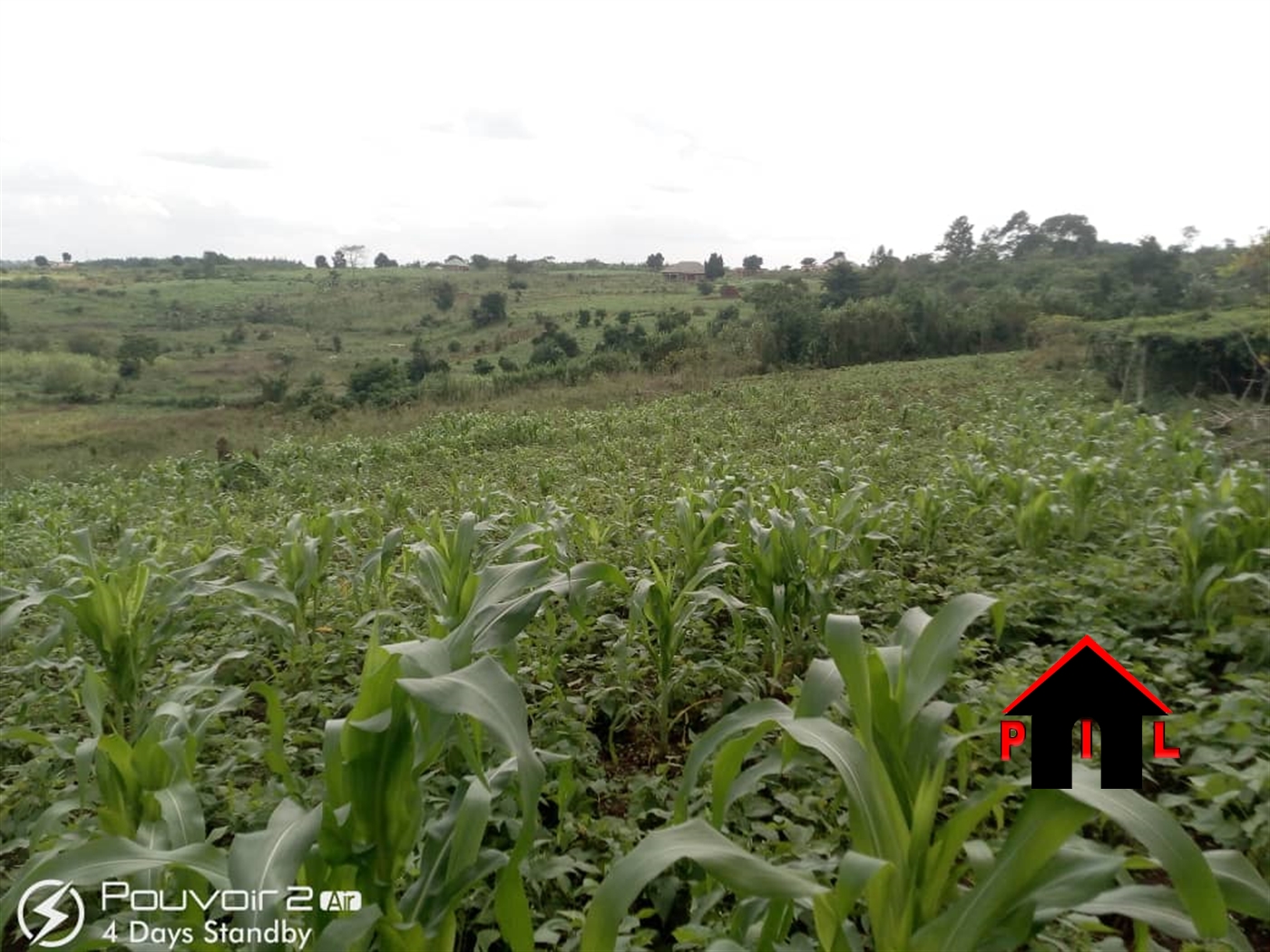 Agricultural Land for sale in Kagugube Mubende