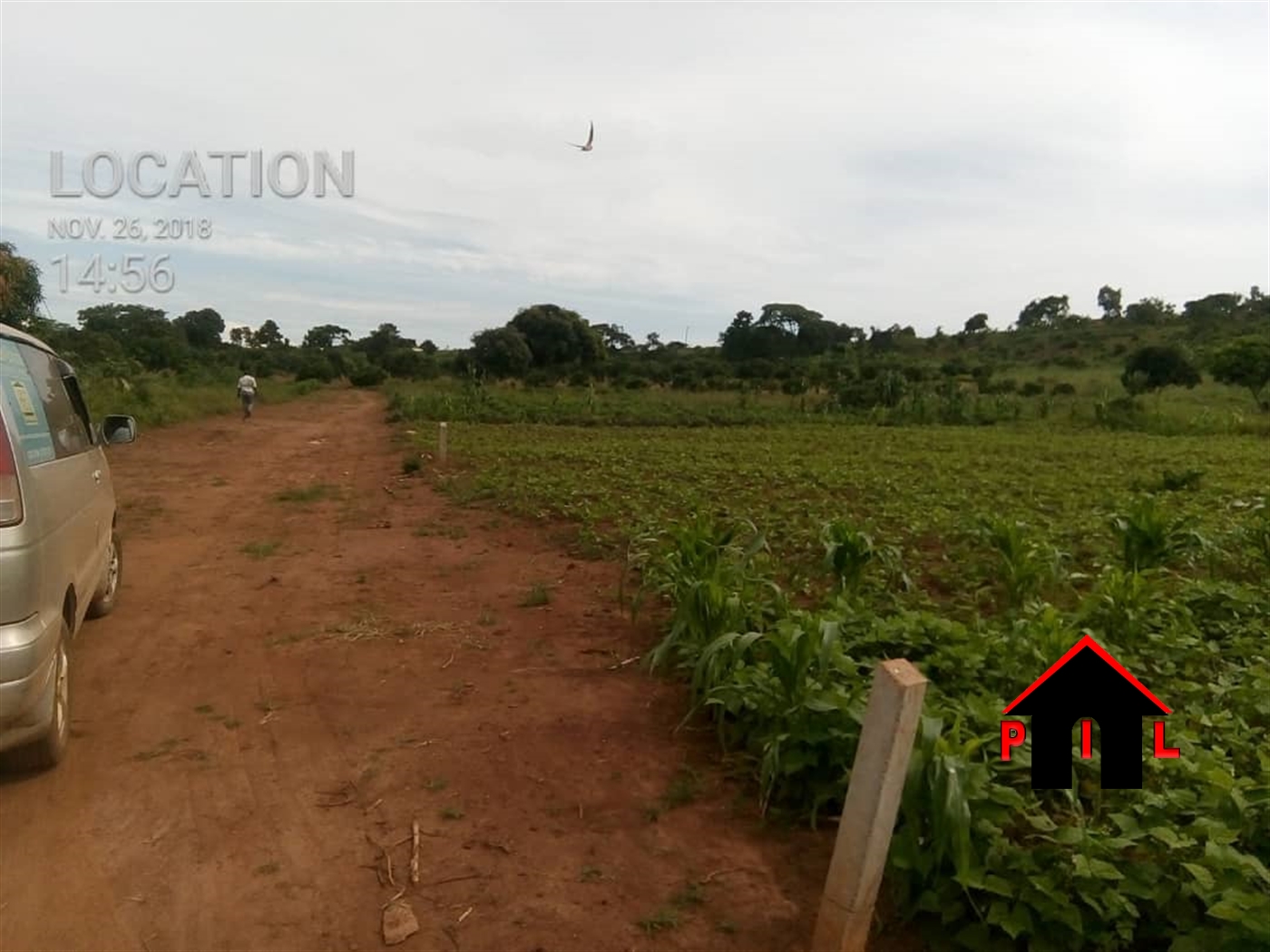 Agricultural Land for sale in Masode Kiboga