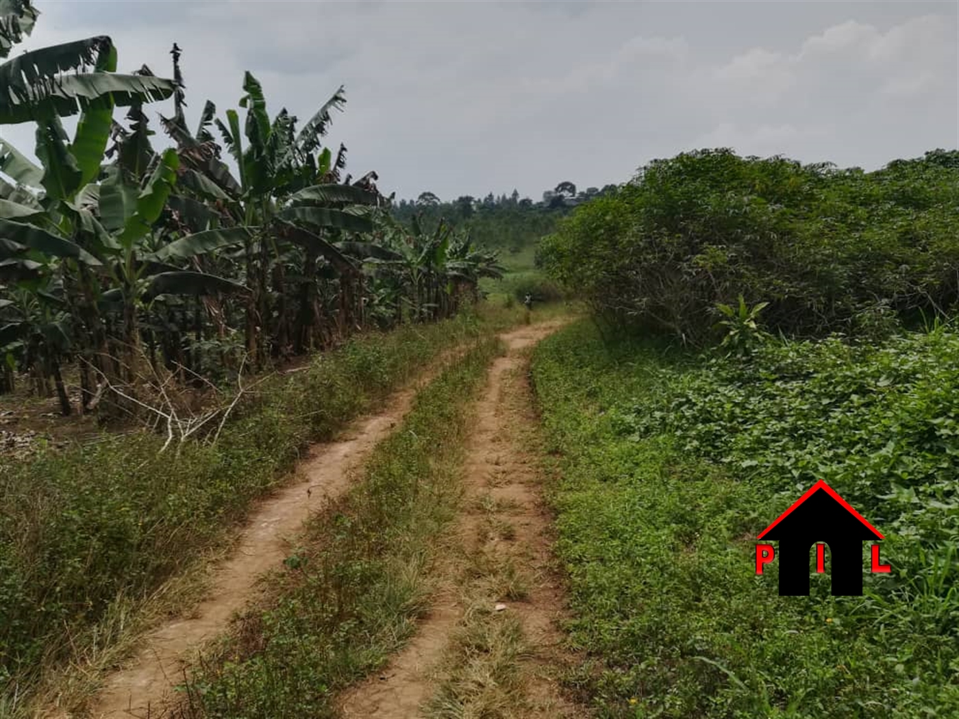 Residential Land for sale in Ssanga Wakiso