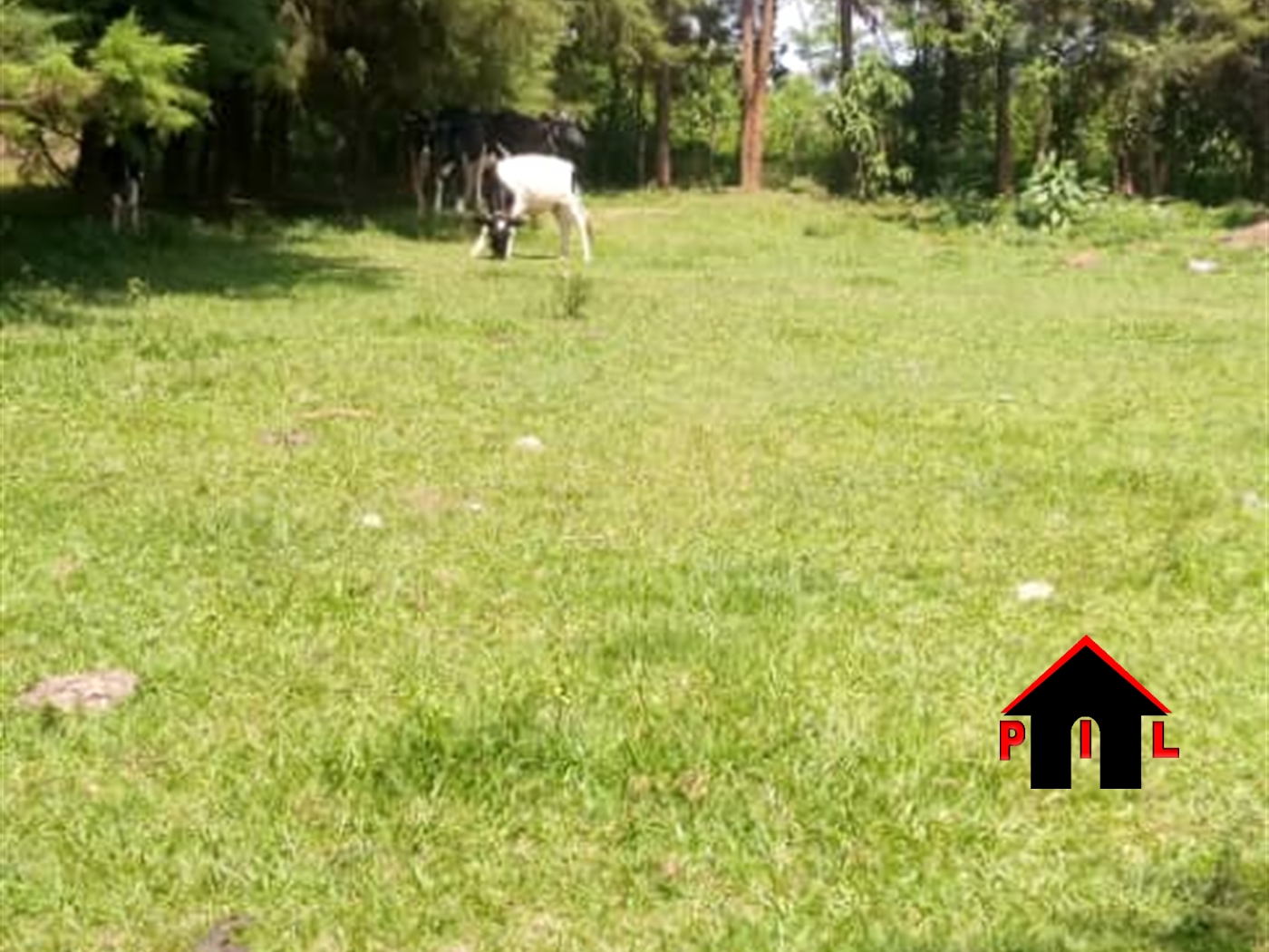 Agricultural Land for sale in Gayaza Wakiso