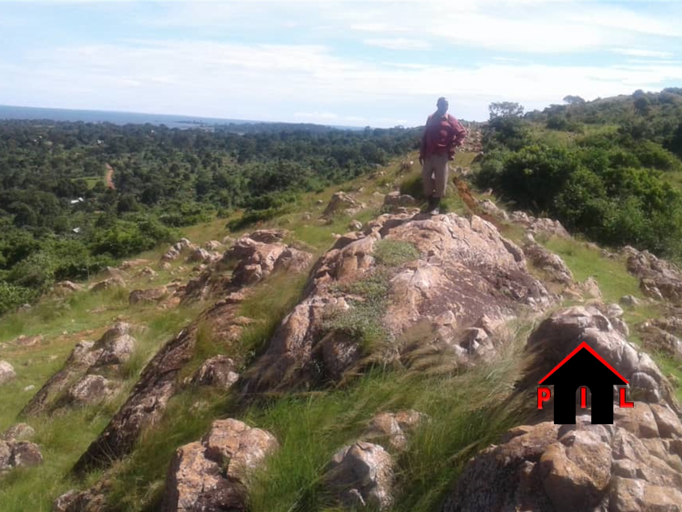 Agricultural Land for sale in Mijumwa Nakaseke