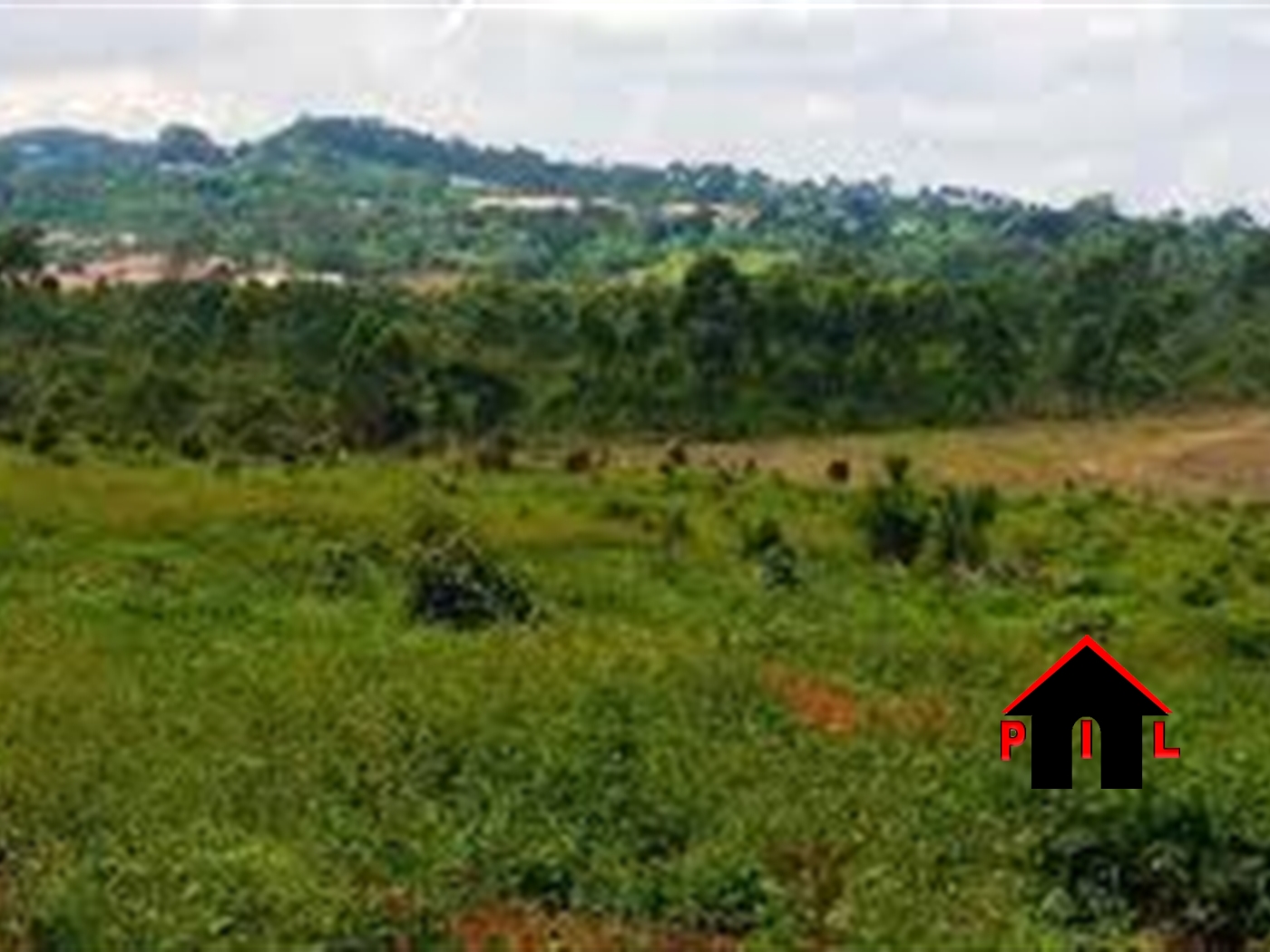 Agricultural Land for sale in Maya Masaka