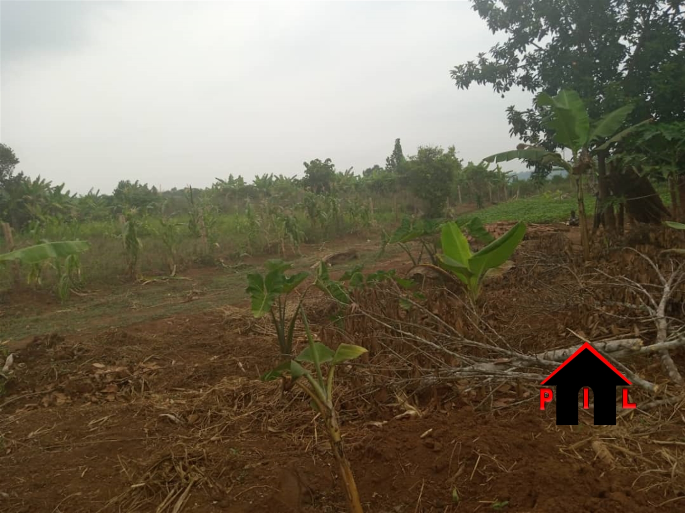 Agricultural Land for sale in Ngoje Mukono