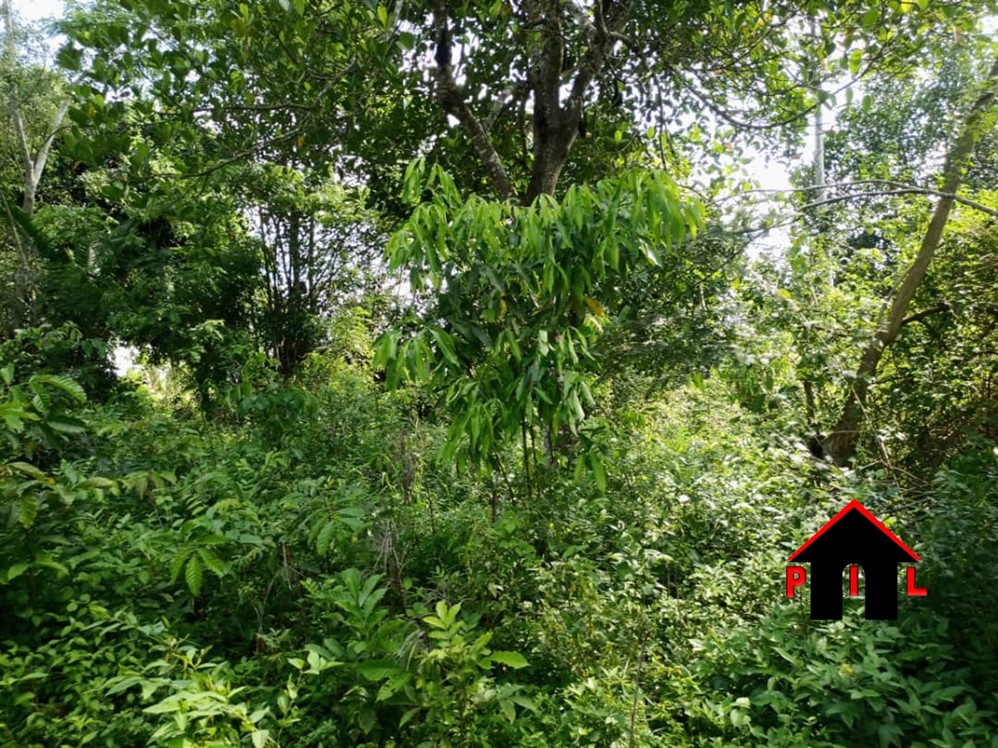 Residential Land for sale in Busukuma Wakiso