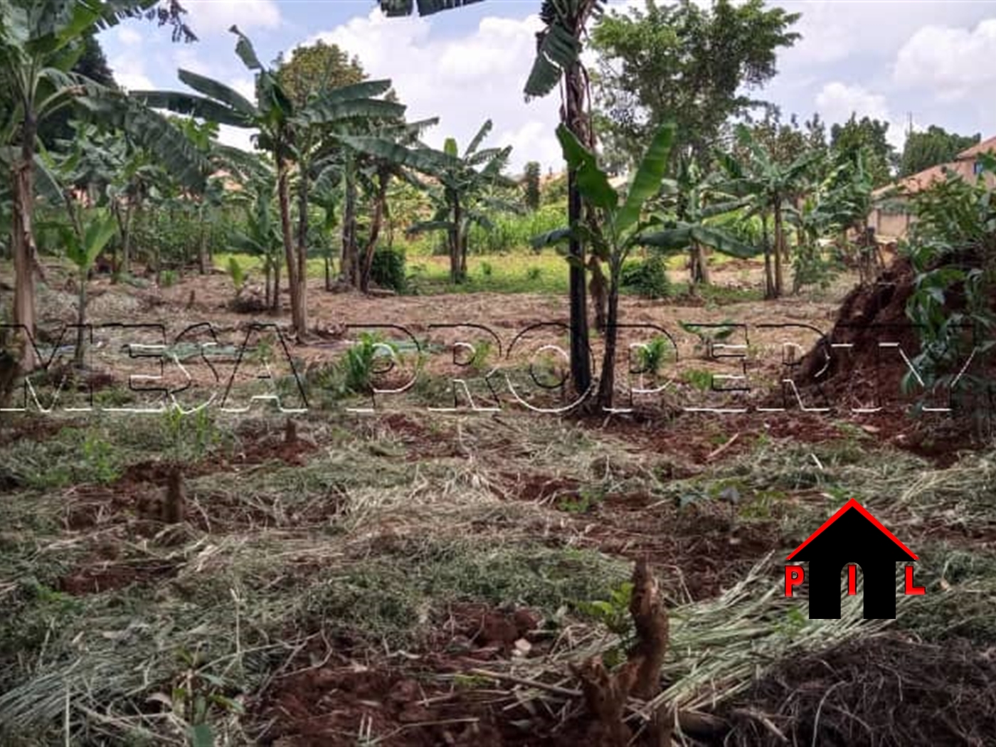 Agricultural Land for sale in Buddugala Mukono