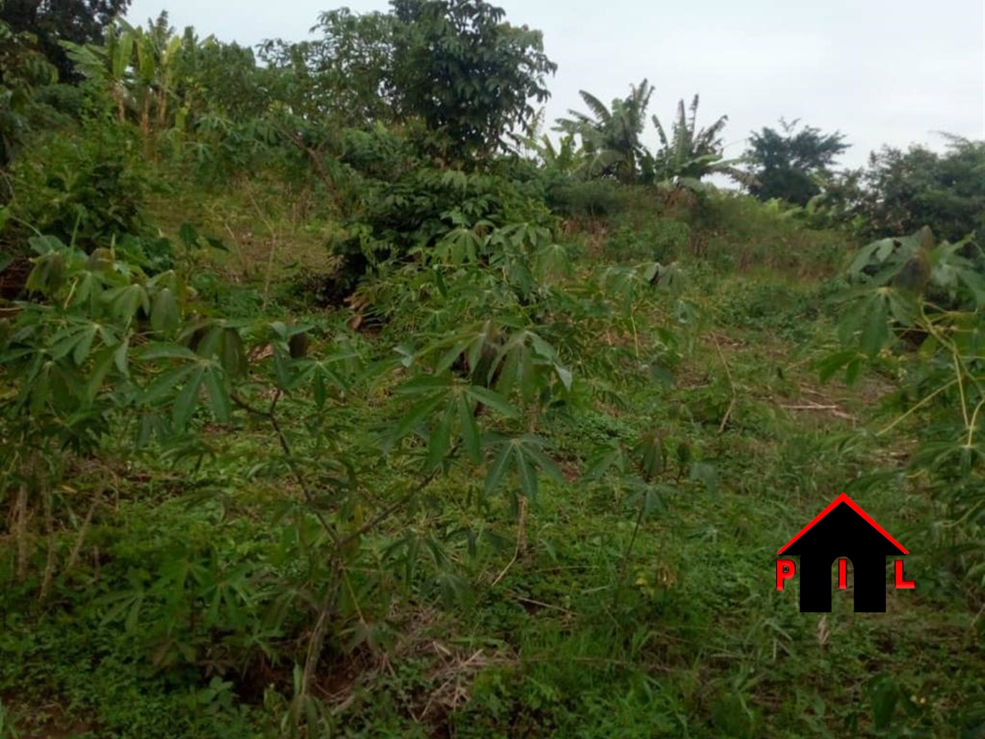 Residential Land for sale in Bukeelele Mukono