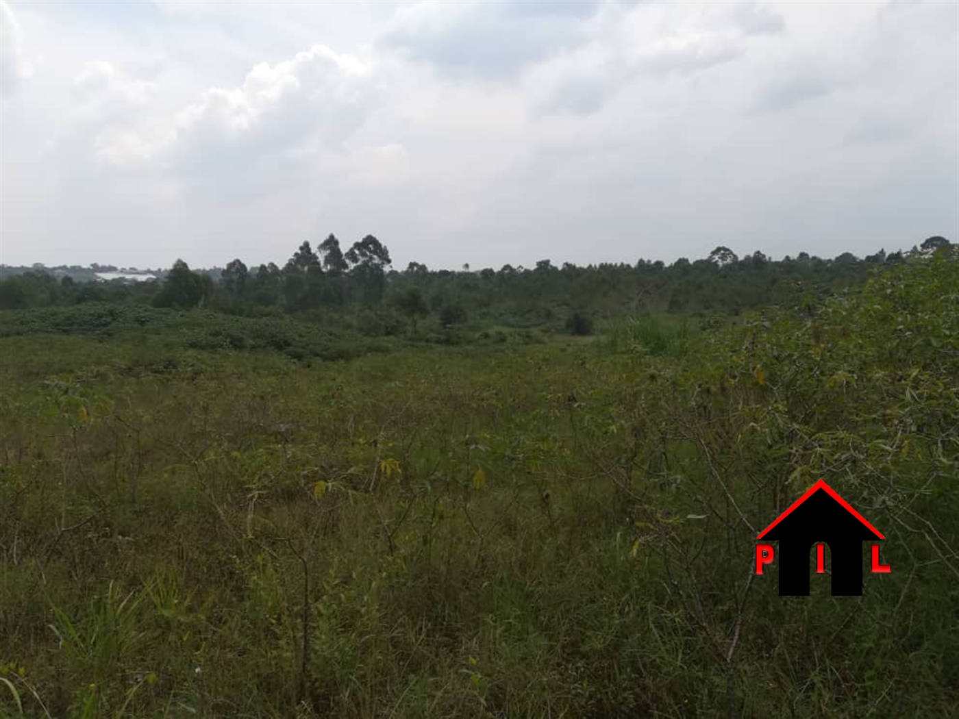 Agricultural Land for sale in Kiwanula Luweero