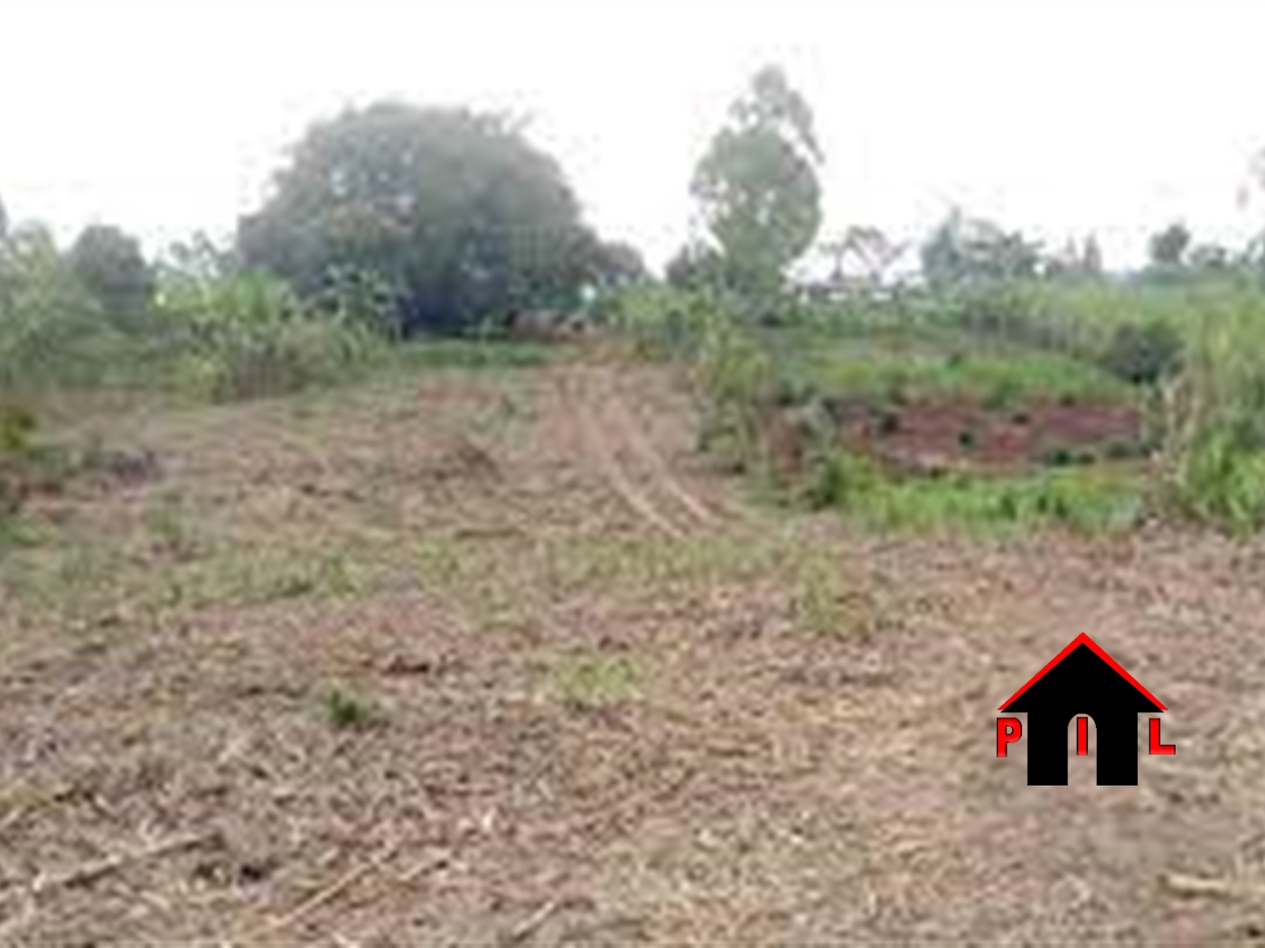 Agricultural Land for sale in Bukalasa Luweero