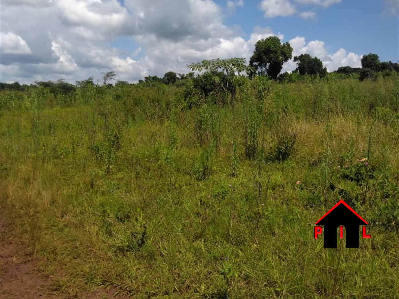 Agricultural Land for sale in Nakassajja Wakiso