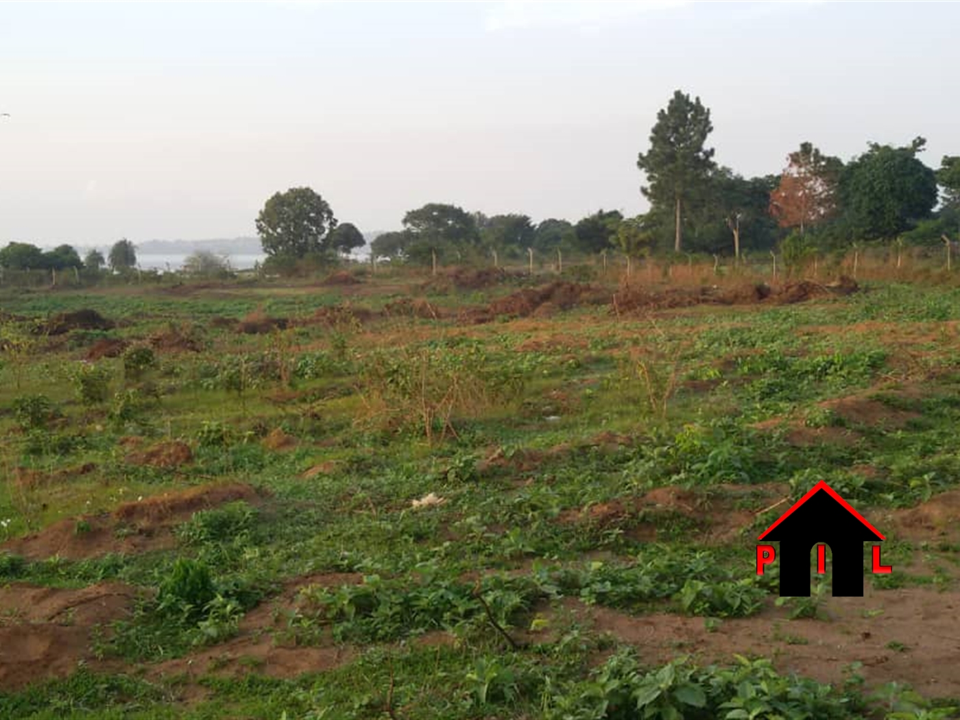 Commercial Land for sale in Ndundu Kampala