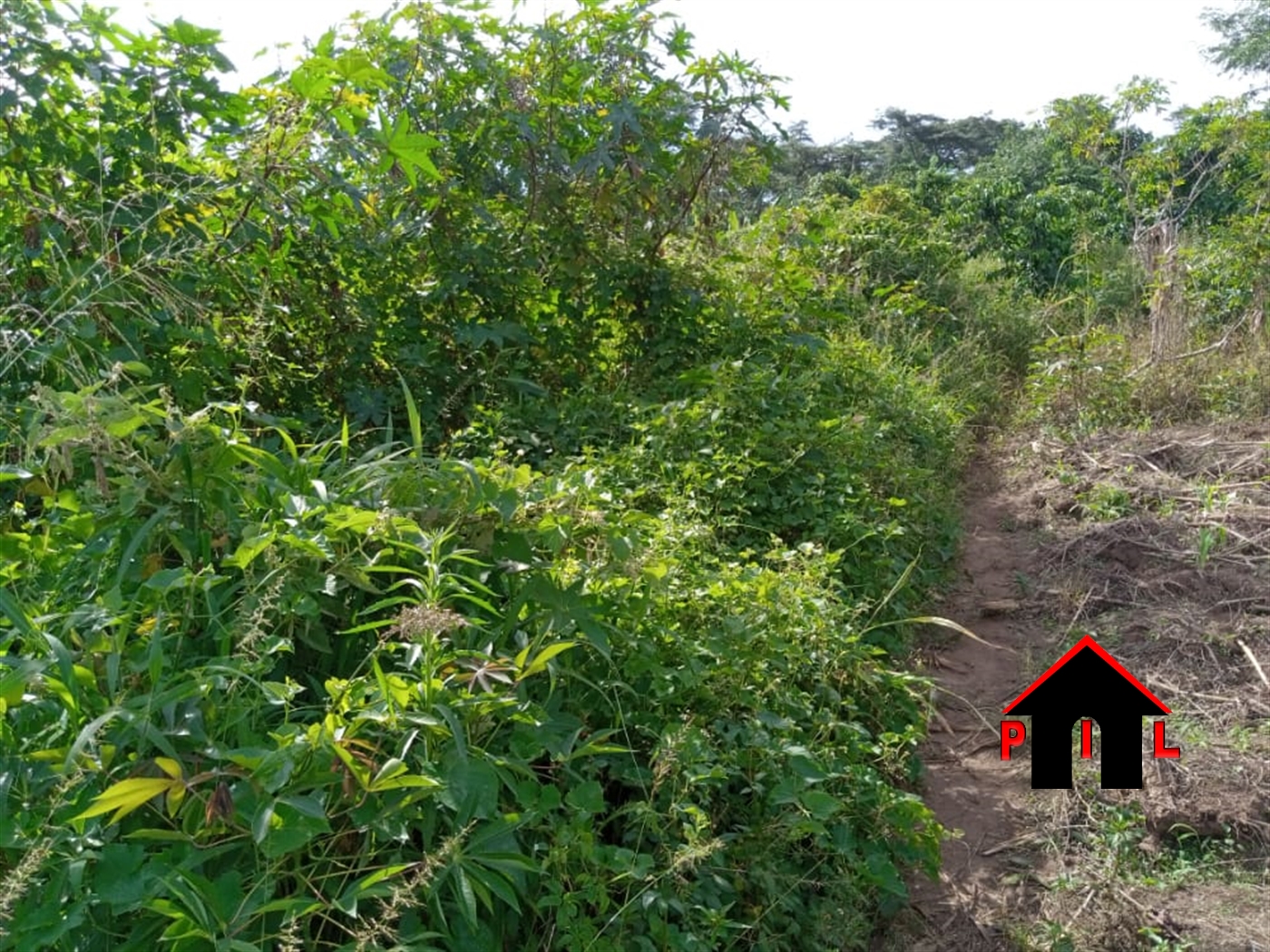 Agricultural Land for sale in Vvumba Wakiso