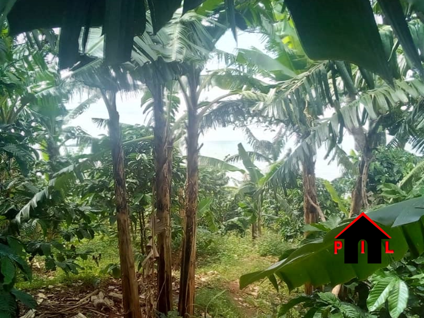 Commercial Land for sale in Bukasa Wakiso