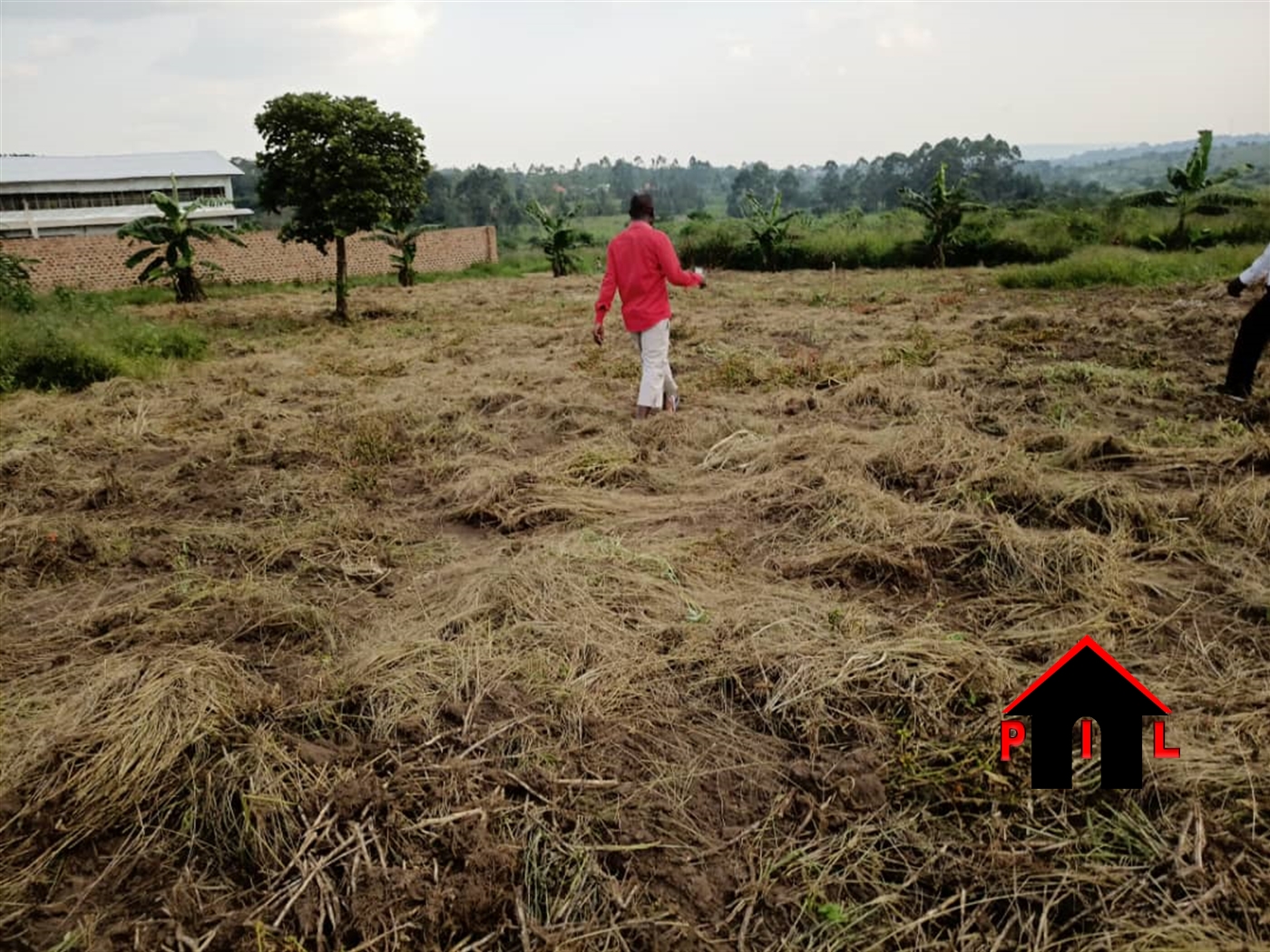 Agricultural Land for sale in Ngogolo Luweero