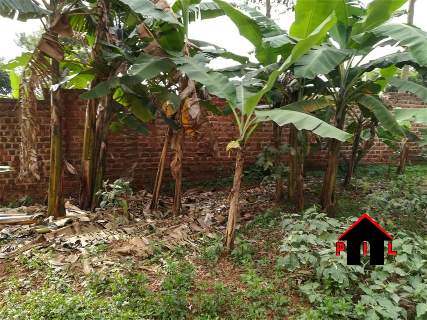 Agricultural Land for sale in Kyenshama Ntungamo