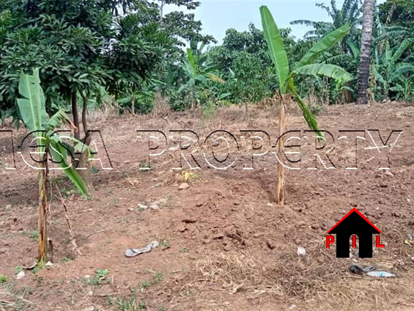 Agricultural Land for sale in Katosi Mukono