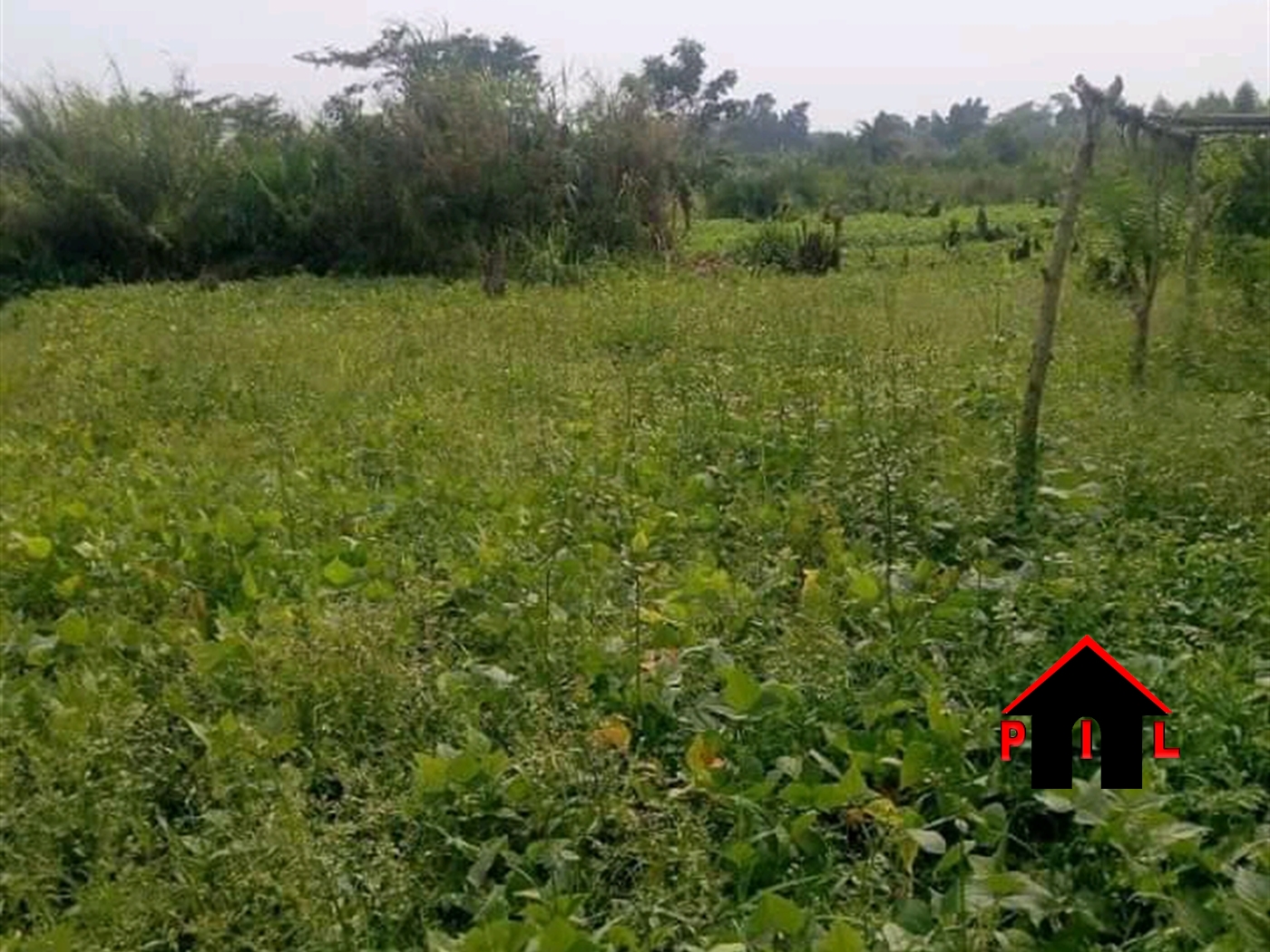 Agricultural Land for sale in Kiiso Luweero