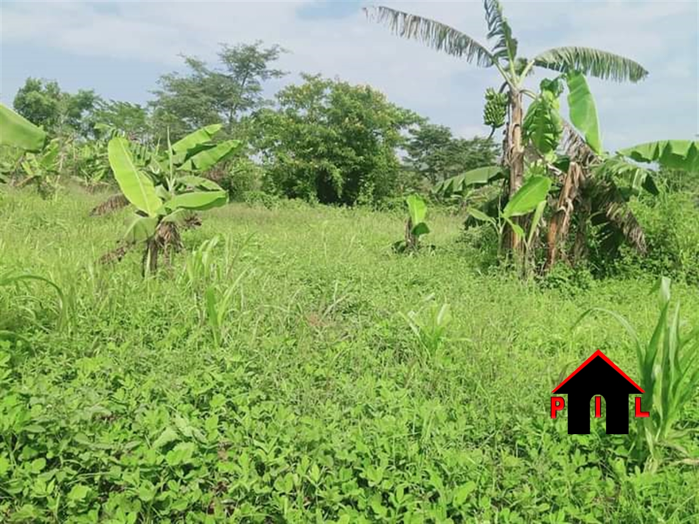 Agricultural Land for sale in Namayumba Wakiso