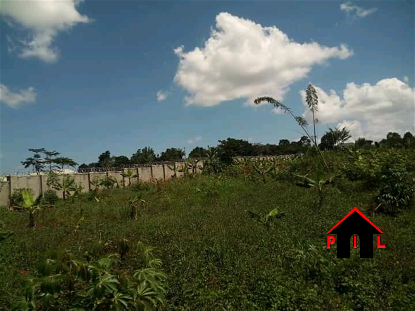 Agricultural Land for sale in Lukaaya Kalangala