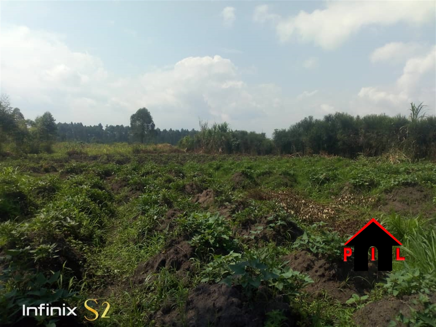 Agricultural Land for sale in Kinono Masaka