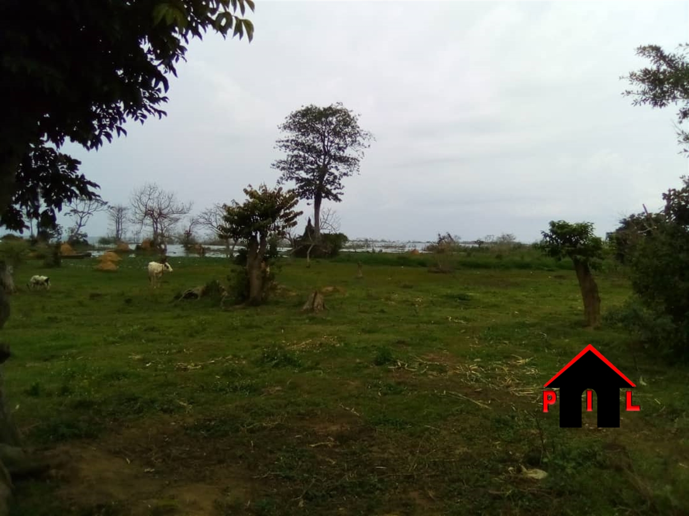 Agricultural Land for sale in Ngololo Gulu