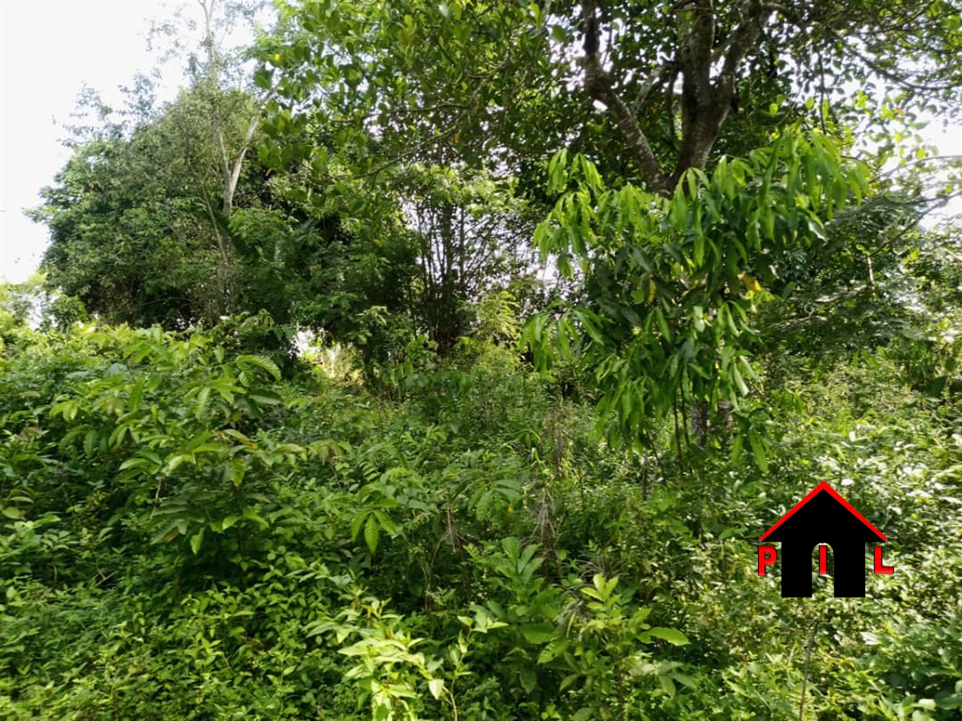 Agricultural Land for sale in Namasa Nakasongola