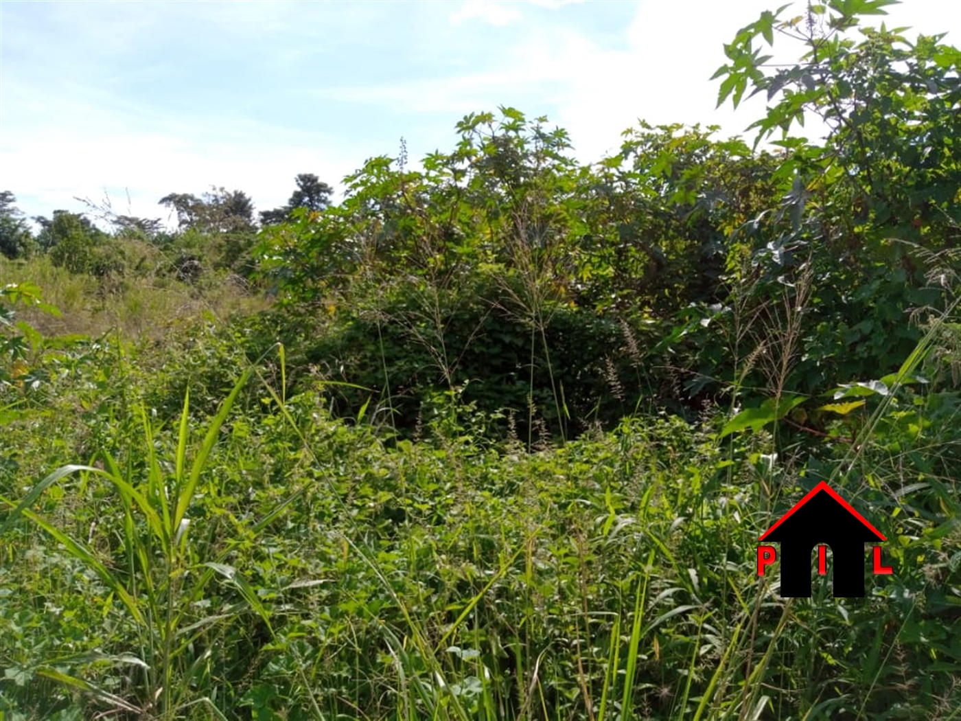 Agricultural Land for sale in Kiwenda Wakiso