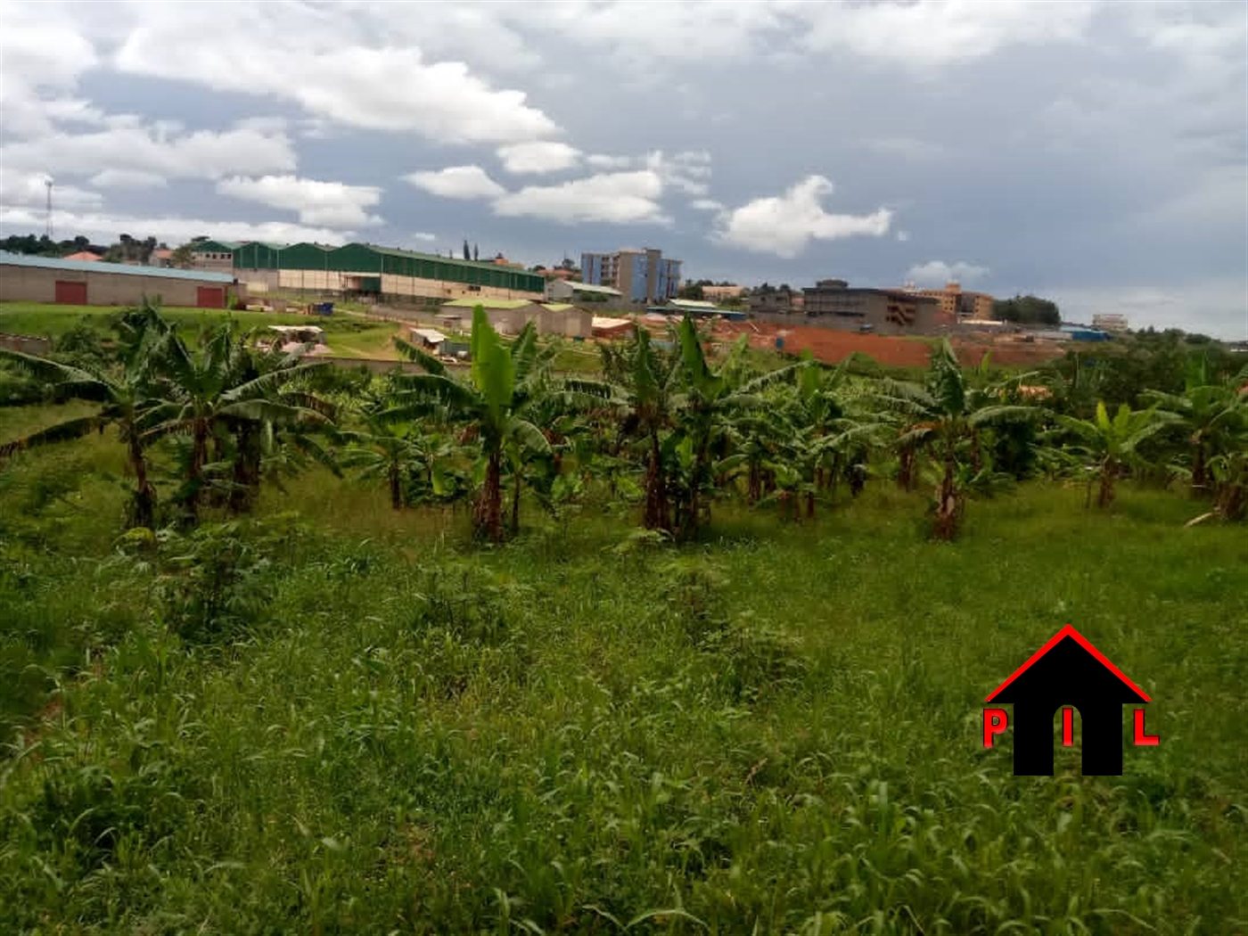 Agricultural Land for sale in Kiiso Luweero