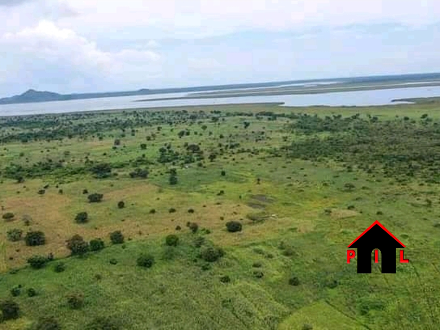 Agricultural Land for sale in Nabugabo Masaka