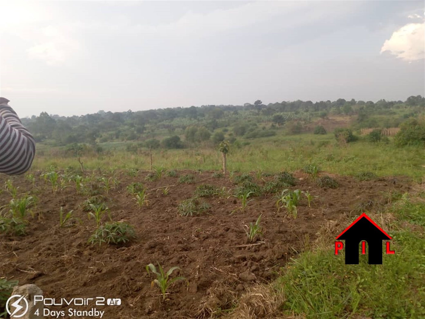 Agricultural Land for sale in Kasanjje Wakiso