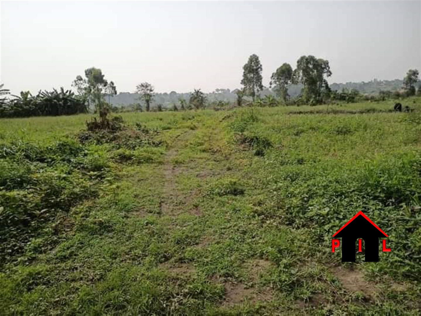 Agricultural Land for sale in Kilaga Masaka