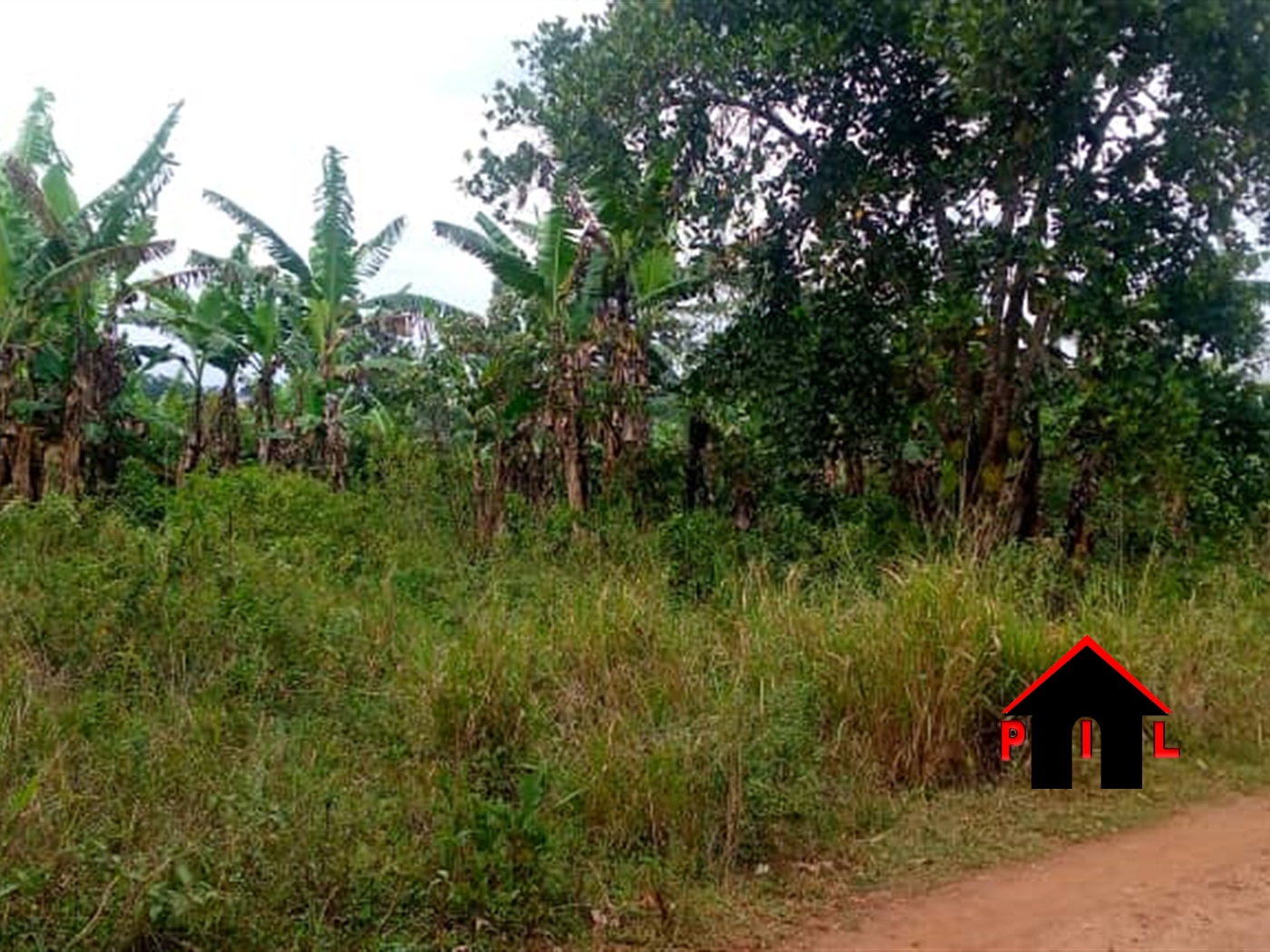 Agricultural Land for sale in Kiiso Luweero