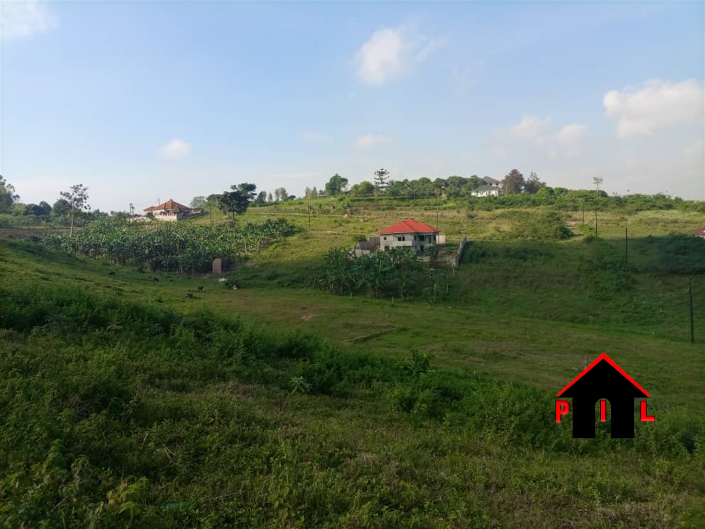 Agricultural Land for sale in Lukaya Masaka