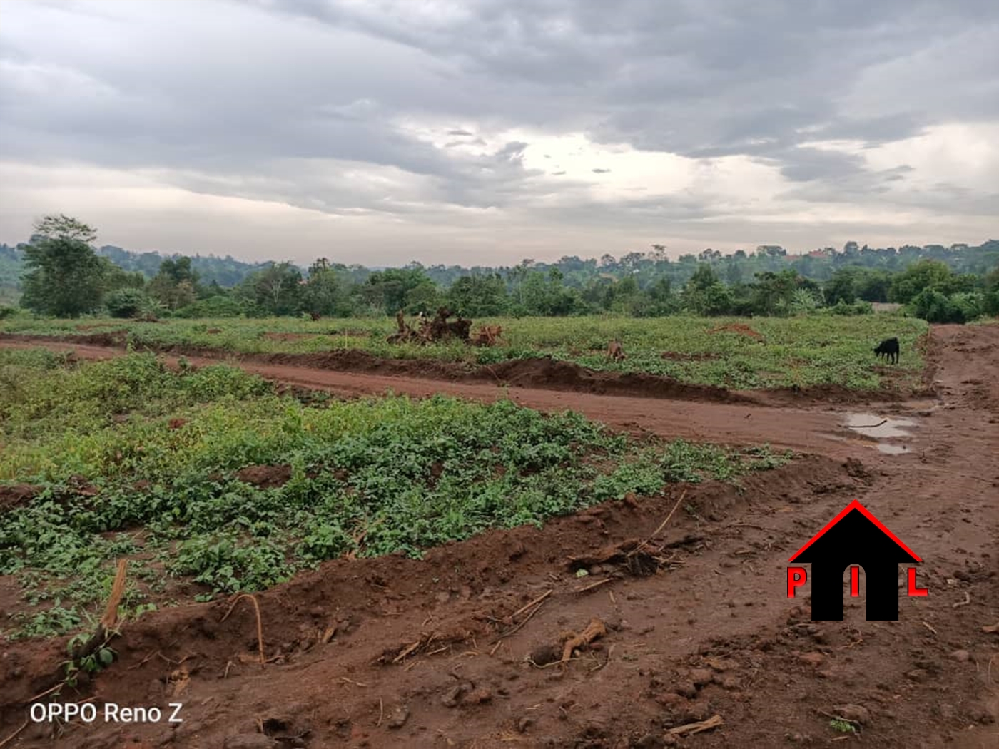 Agricultural Land for sale in Buzirandulu Luweero