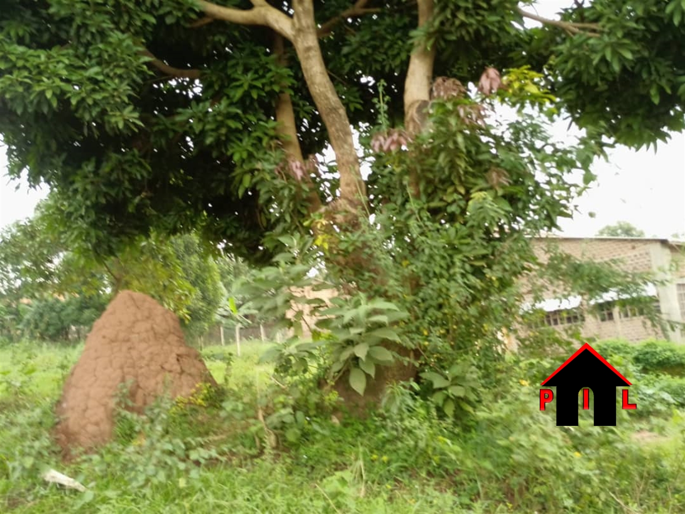 Agricultural Land for sale in Lusango Masaka