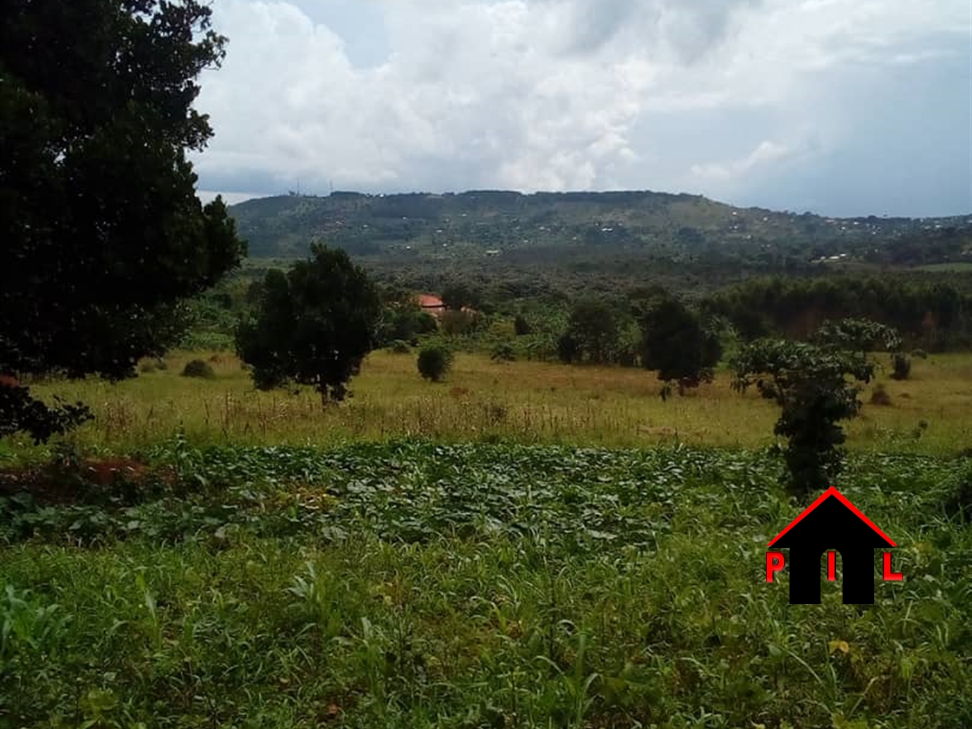 Agricultural Land for sale in Wabikokoma Luweero