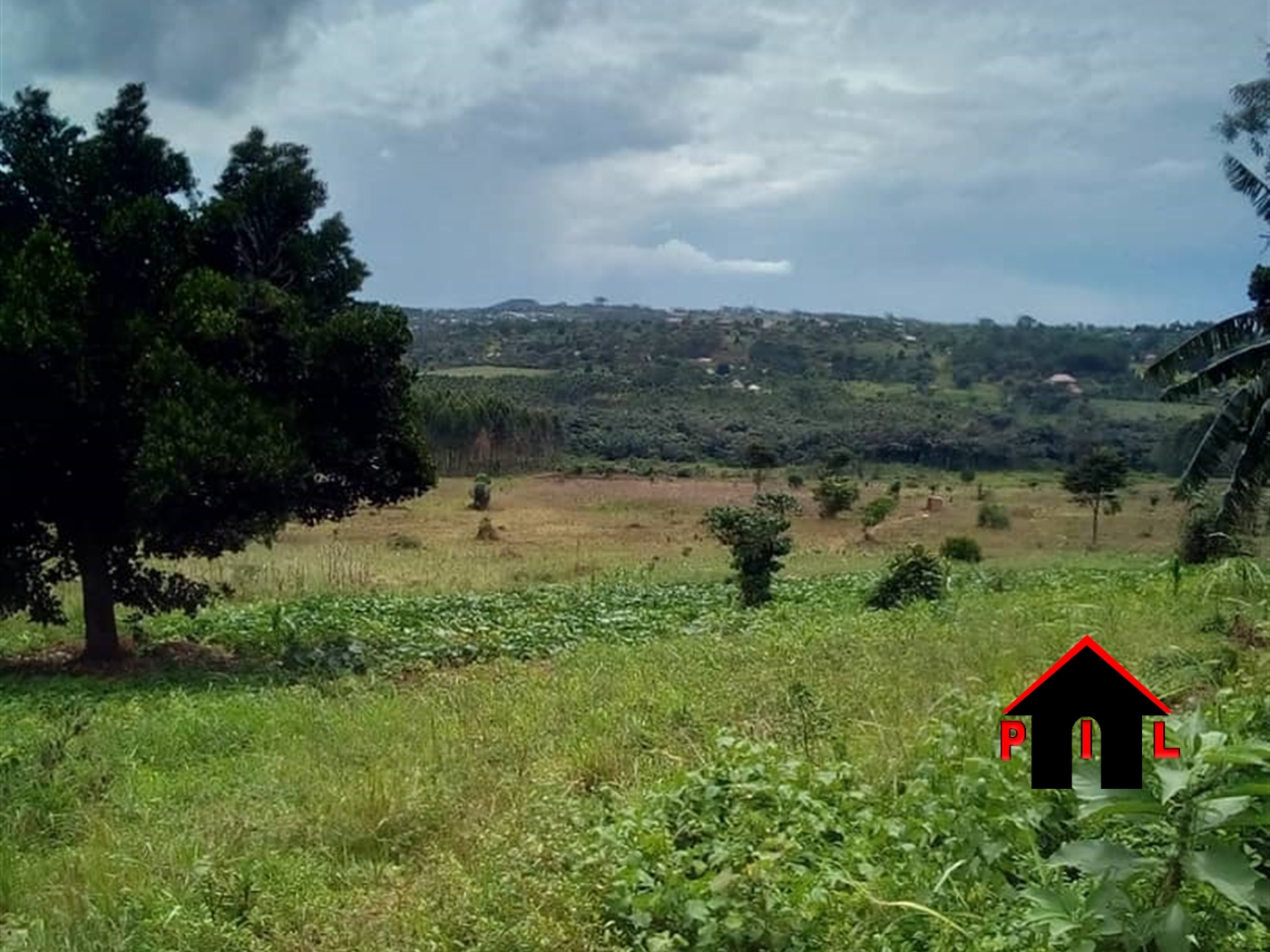 Agricultural Land for sale in Wabikokoma Luweero